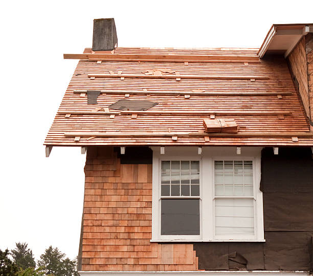 Best Fascia and Soffit Installation  in Avonmore, PA